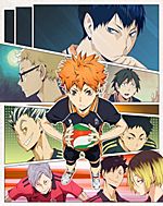 Haikyuu!! Second Season