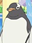 Gentoo Penguin