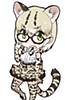 Margay