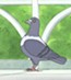 Hato