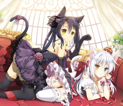 Anime Cat People, Cute Cartoon People HD wallpaper | Pxfuel