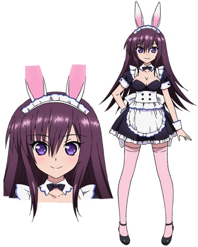 Characters appearing in Absolute Duo Anime