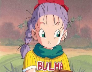 Bulma 1080P 2K 4K 5K HD wallpapers free download  Wallpaper Flare