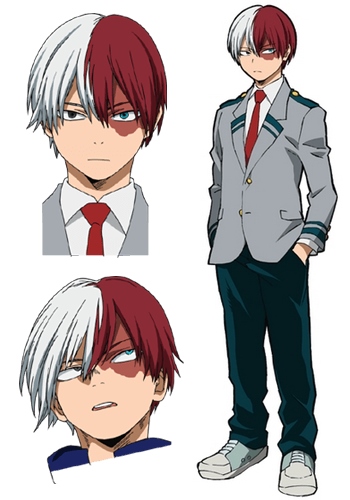 Shoto Todoroki Anime Series - Anime character names