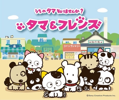 Tama & Friends: Uchi no Tama Shirimasenka? - Anime - AniDB