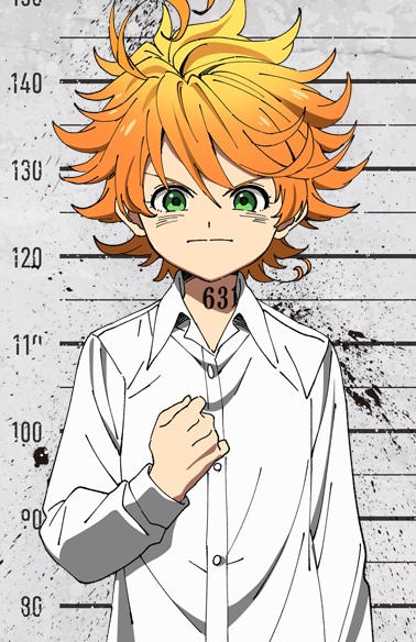 Mobile wallpaper: Anime, Emma (The Promised Neverland), The Promised  Neverland, Ray (The Promised Neverland), Norman (The Promised Neverland),  1048278 download the picture for free.