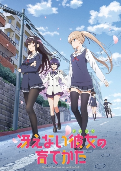 SAENAI HEROINE NO SODATEKATA FINE THE MOVIE - ANIME MOVIE DVD BOX SET