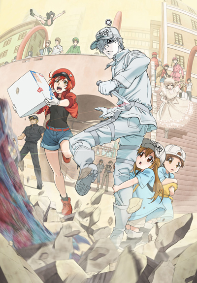 They are still look adorable, Hataraku Saibou / Cells at Work!