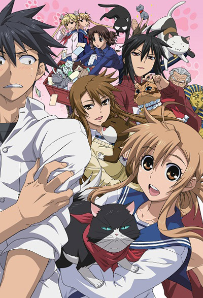 Nyankoi!: Where to Watch and Stream Online