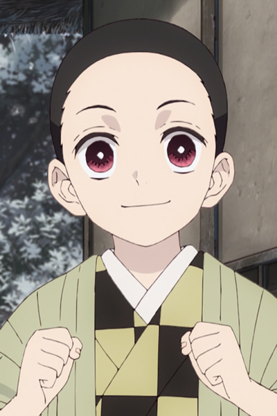 Kimetsu no Yaiba: Kyoudai no Kizuna - Anime - AniDB