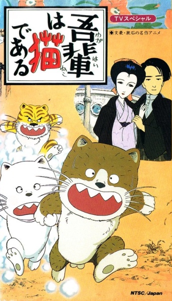 izuho natsume's cat