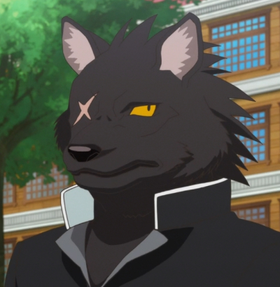 wolf characters in anime