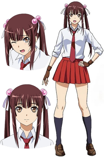 Characters appearing in Shin Ikkitousen Anime