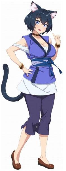 Official Anime Art & Character Descriptions Isekai Meikyuu de