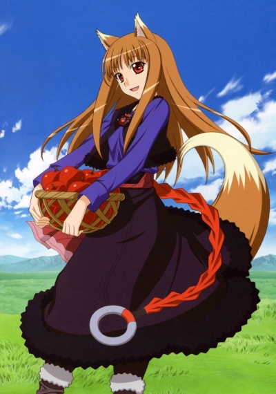 Anime  spice and wolf Wallpaper  Spice and wolf Anime Wolf wallpaper