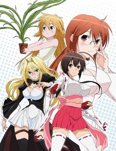 Top 90 Best Ecchi Harem Anime Hottest Series