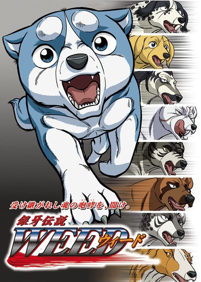 Anime Dog of the Day on Twitter Todays anime dogs of the day is  Chutora Kurotora and Akatora from Ginga Nagareboshi Gin 1986  httpstcowtb5GeEwwn  Twitter