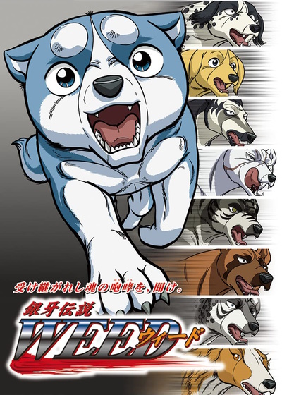 Ginga Eiyuu Densetsu - Anime - AniDB