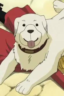 Today's anime dog of the year is: #1: Alexander