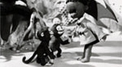 Chibikuro Sambo No Tora Taiji Anime Anidb Chibikuro Sambo No Tora Taiji Anime Anidb