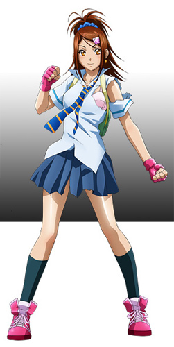 Ikkitousen: Xtreme Xecutor, Ikkitousen Wiki