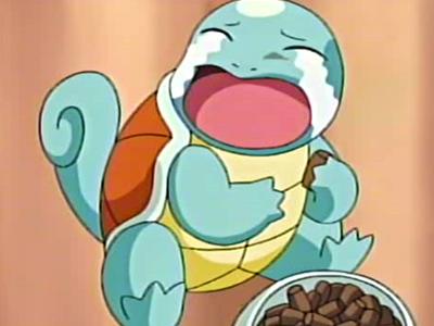 陸ガメの種類とその特徴 - スルカタガメ (Centrochelys sulcata)