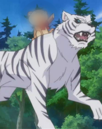 Wallpaper tiger, vector, anime, art, Kohaku, Isekai wa Smartphone