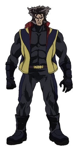 Wolverine - Character (29357) - AniDB Wolverine - Character (29357) - AniDB